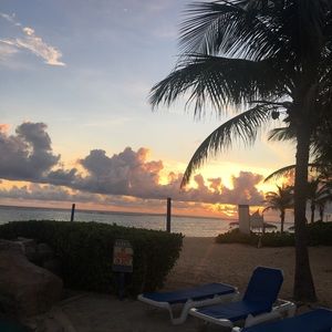 Meet your Posher, Larry